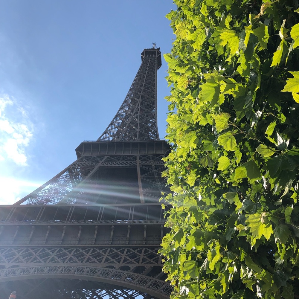 Meet your Posher, Reagan